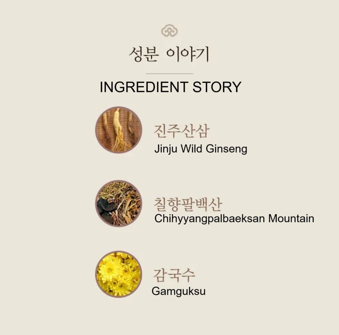 Gongjinhyang Seol Radiant White Tone Up Sun Cushion +1 Refill Special 4 Pcs Set - Image 5