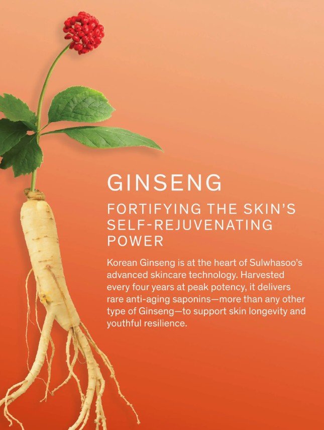 Sulwhasoo Concentrated Ginseng Rejuvenating Serum 8mL (Travel size): Anti-aging serum with Retinol-infused capsules. - Image 4