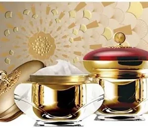 RE:OFE - Korean Jasaeng Day And Night Cream Set 50G +50G