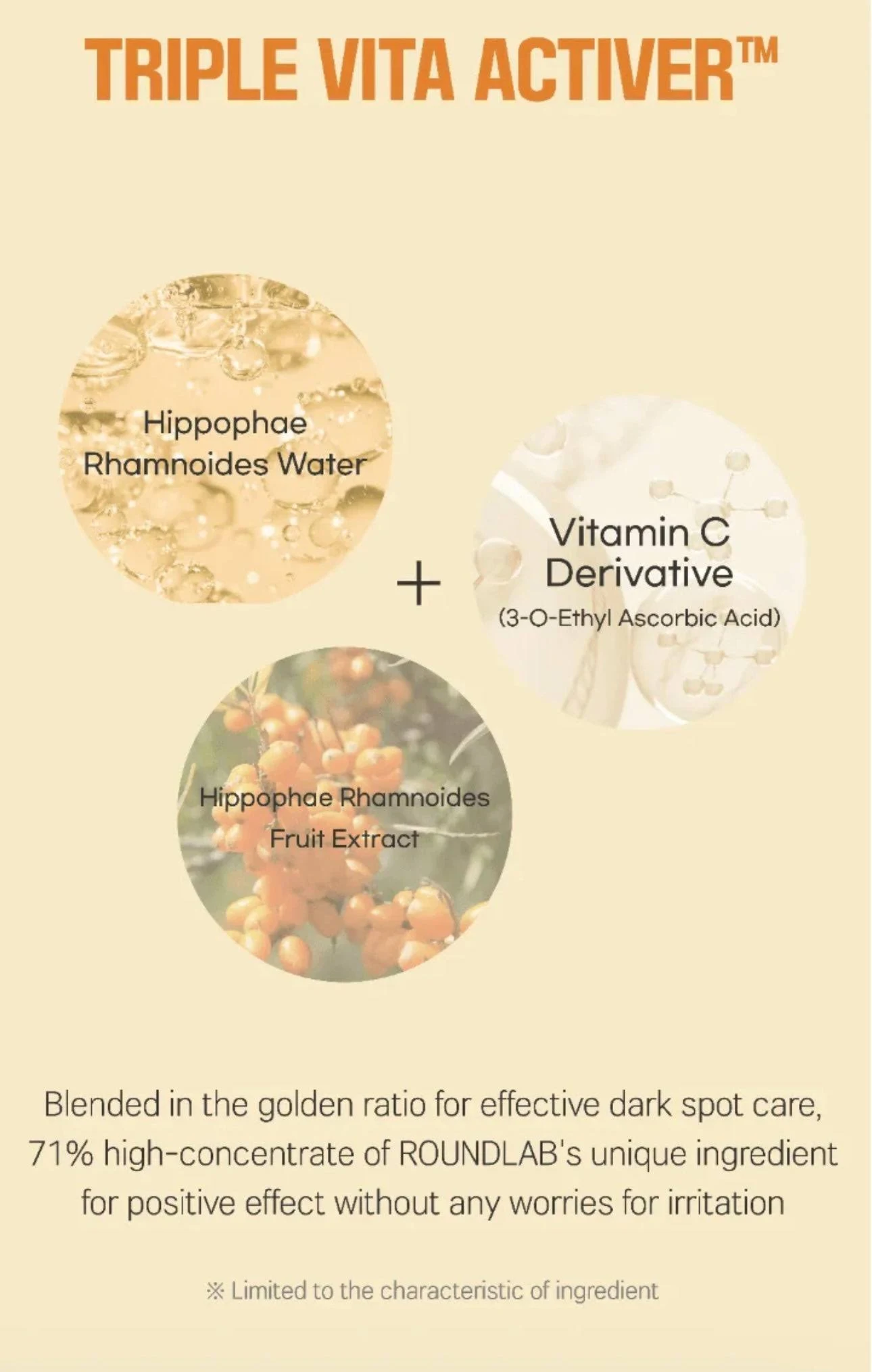 ROUND LAB Vita Niacinamide Dark Spot Cream 50mL - Image 4